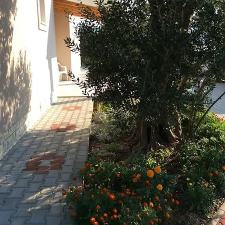 Franov Bibinje