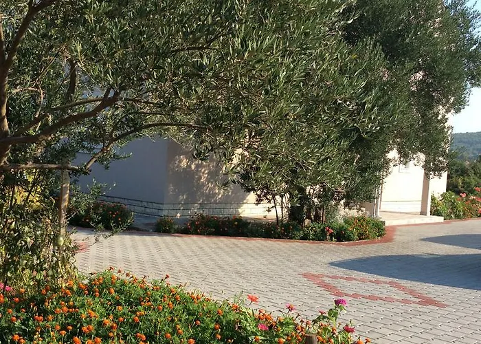 Franov Lejlighed Bibinje