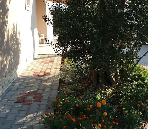 Franov Bibinje